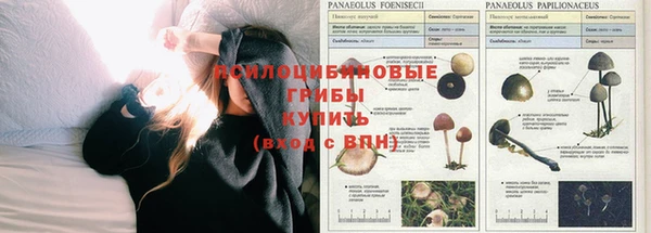 каннабис Алексин