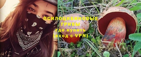 mdpv Алзамай
